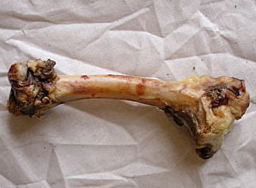Lamb Leg Bone